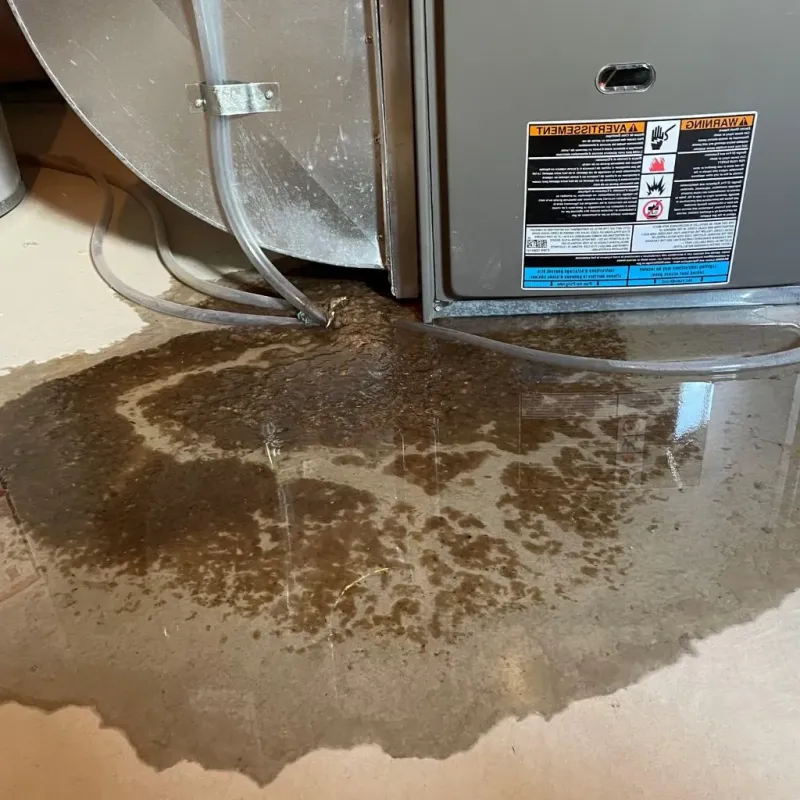 Pipe Burst and Leak Restoration in Mount Olivet, KY